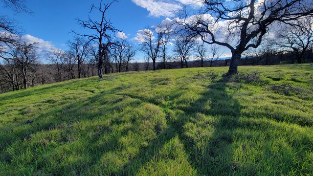 Lot 42 Quail Ridge Road, Cottonwood, CA 96022