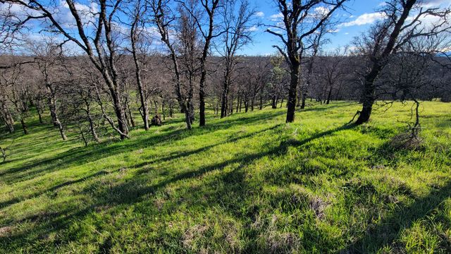 Lot 42 Quail Ridge Road, Cottonwood, CA 96022