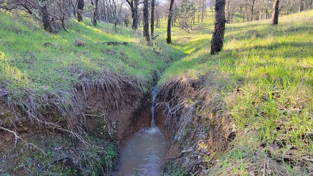 Lot 42 Quail Ridge Road, Cottonwood, CA 96022