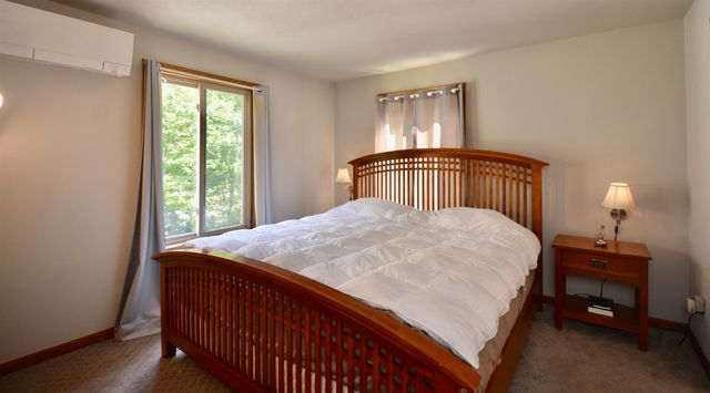 8 Old Spring Drive, Grantham, NH 03753