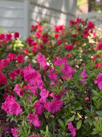 14986 Margot Lane, Pine Grove, CA 95665