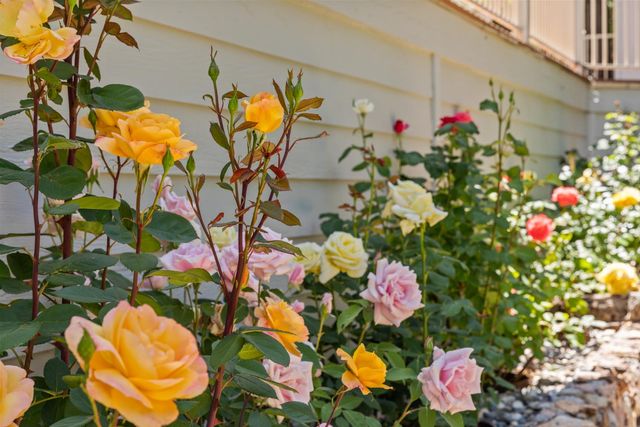 14986 Margot Lane, Pine Grove, CA 95665