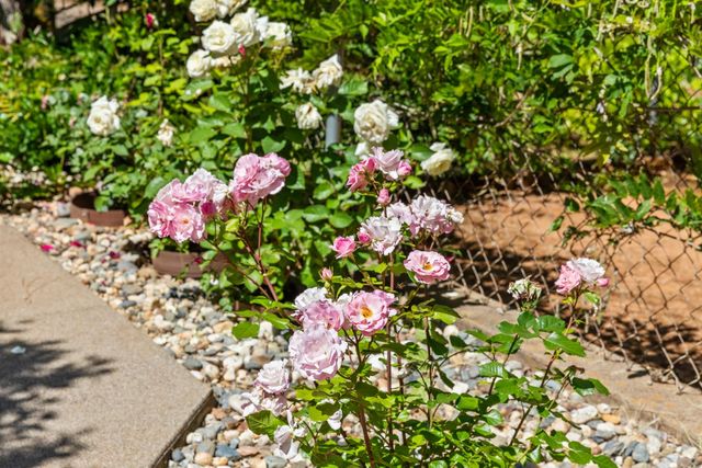 14986 Margot Lane, Pine Grove, CA 95665