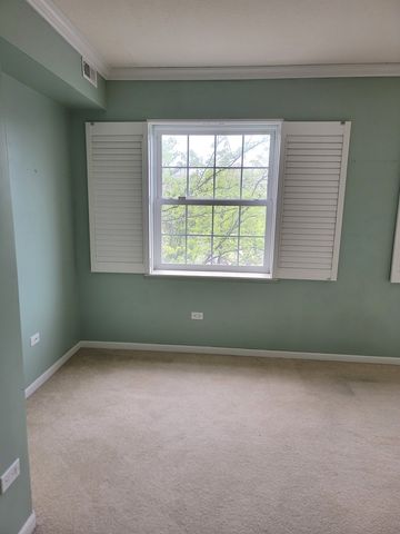 49 Old Frankfort Way 210, Frankfort, IL 60423