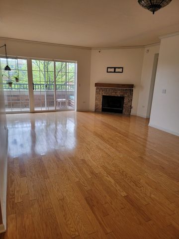 49 Old Frankfort Way 210, Frankfort, IL 60423