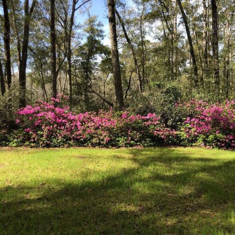 4150 Nature View Circle, Johns Island, SC 29455