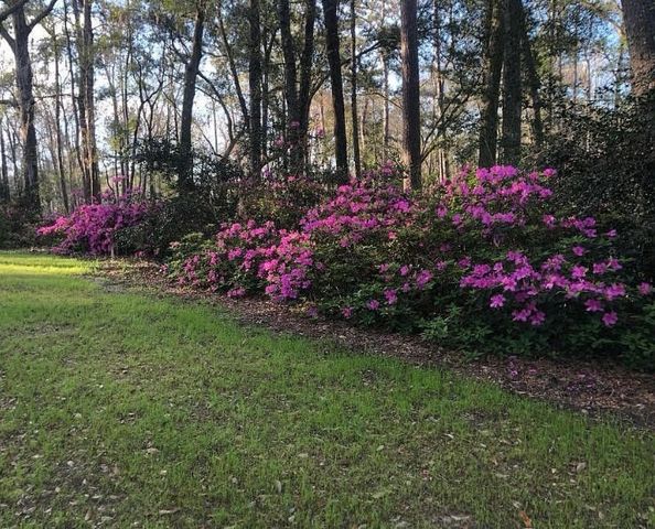 4150 Nature View Circle, Johns Island, SC 29455