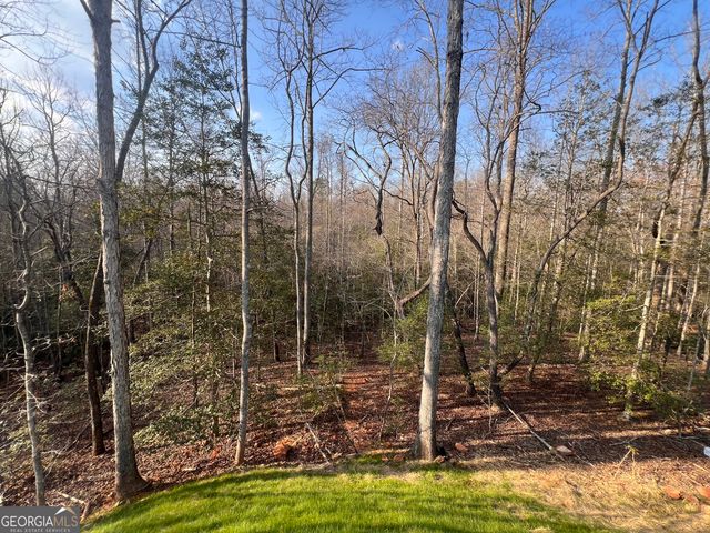 329 Twisting Ridge Trail, Demorest, GA 30535