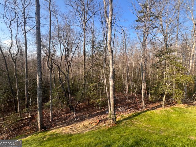 329 Twisting Ridge Trail, Demorest, GA 30535