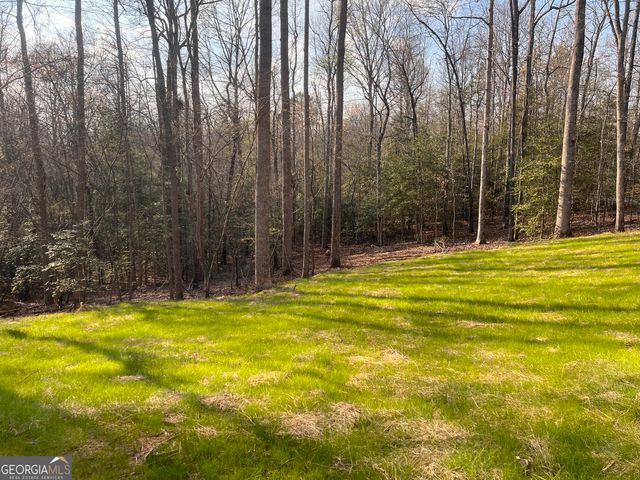 329 Twisting Ridge Trail, Demorest, GA 30535
