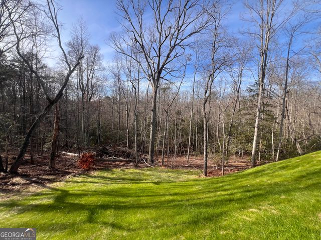 329 Twisting Ridge Trail, Demorest, GA 30535