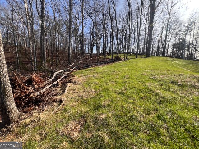 329 Twisting Ridge Trail, Demorest, GA 30535