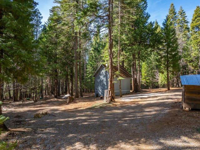 8495 Sky Tree Lane, Shingletown, CA 96088