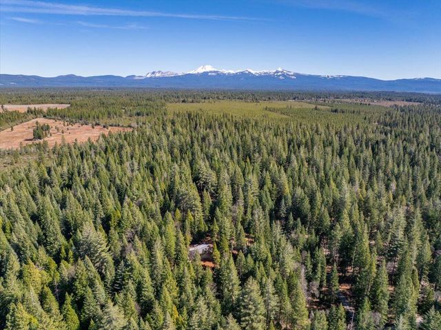 8495 Sky Tree Lane, Shingletown, CA 96088