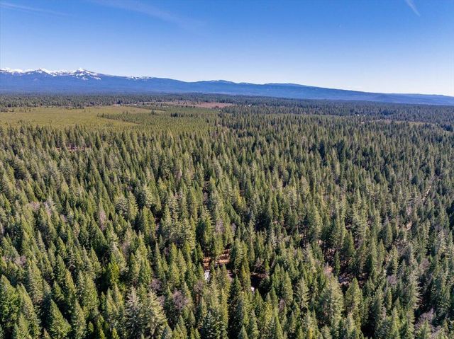 8495 Sky Tree Lane, Shingletown, CA 96088