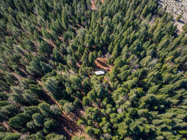 8495 Sky Tree Lane, Shingletown, CA 96088