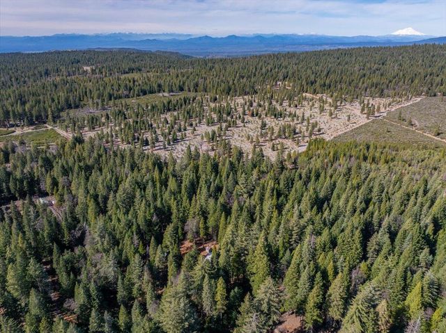 8495 Sky Tree Lane, Shingletown, CA 96088