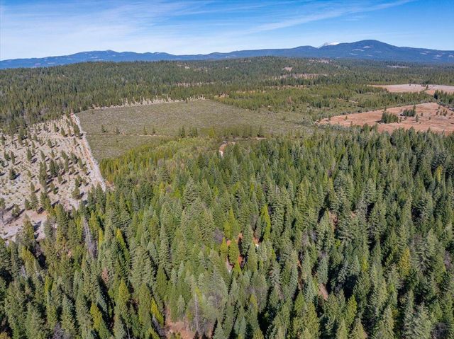 8495 Sky Tree Lane, Shingletown, CA 96088