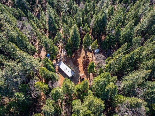 8495 Sky Tree Lane, Shingletown, CA 96088