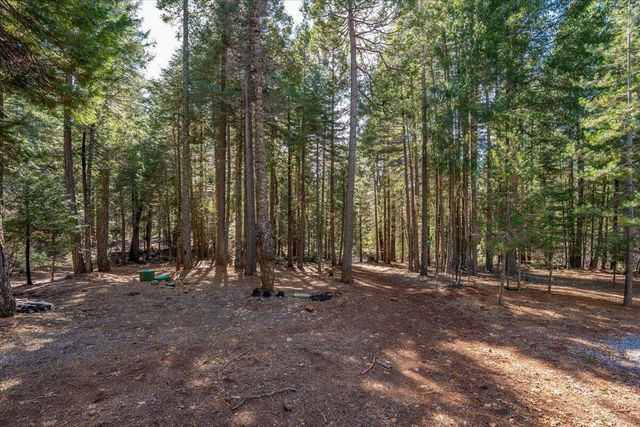 8495 Sky Tree Lane, Shingletown, CA 96088