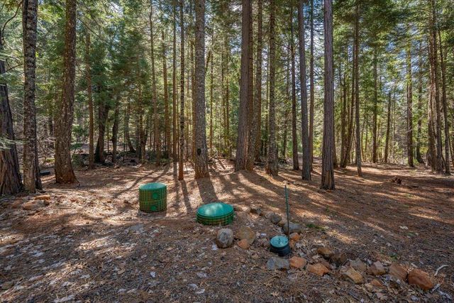 8495 Sky Tree Lane, Shingletown, CA 96088