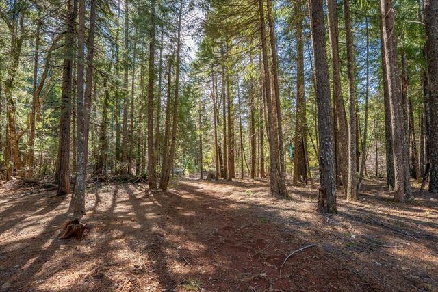 8495 Sky Tree Lane, Shingletown, CA 96088