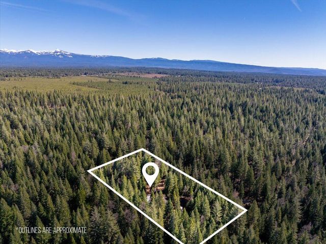 8495 Sky Tree Lane, Shingletown, CA 96088