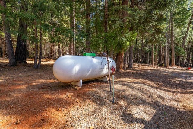 8495 Sky Tree Lane, Shingletown, CA 96088