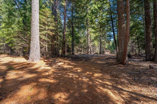 8495 Sky Tree Lane, Shingletown, CA 96088