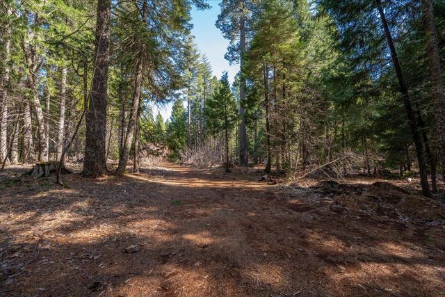 8495 Sky Tree Lane, Shingletown, CA 96088