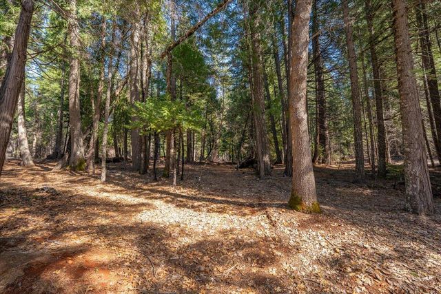 8495 Sky Tree Lane, Shingletown, CA 96088