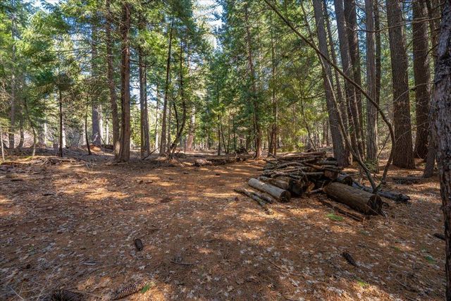 8495 Sky Tree Lane, Shingletown, CA 96088