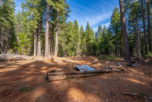 8495 Sky Tree Lane, Shingletown, CA 96088