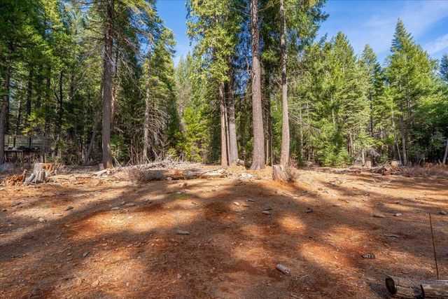 8495 Sky Tree Lane, Shingletown, CA 96088