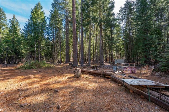 8495 Sky Tree Lane, Shingletown, CA 96088