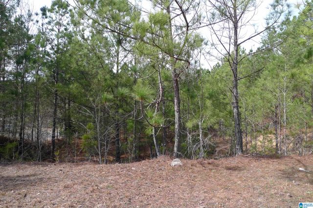 307 FOOTHILLS DRIVE, Sterrett, AL 35147