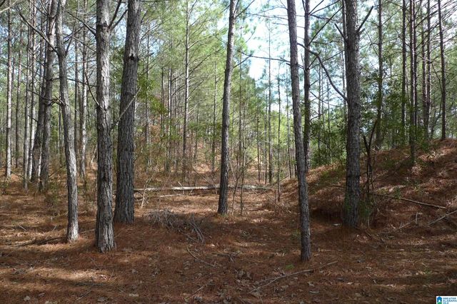 307 FOOTHILLS DRIVE, Sterrett, AL 35147