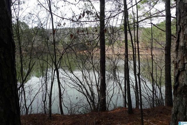 307 FOOTHILLS DRIVE, Sterrett, AL 35147