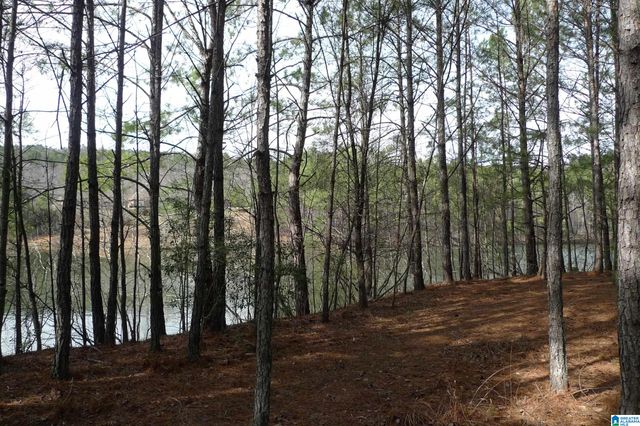 307 FOOTHILLS DRIVE, Sterrett, AL 35147