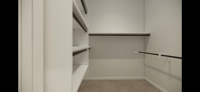 507 Algaroba LOOP, Buda, TX 78610