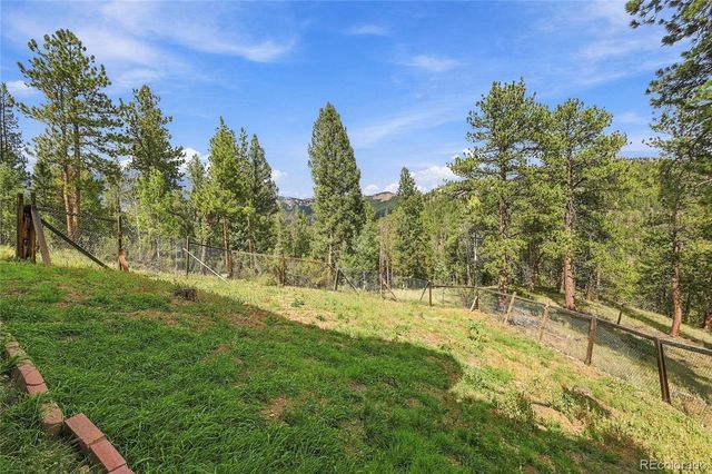 33165 Diana Road, Pine, CO 80470