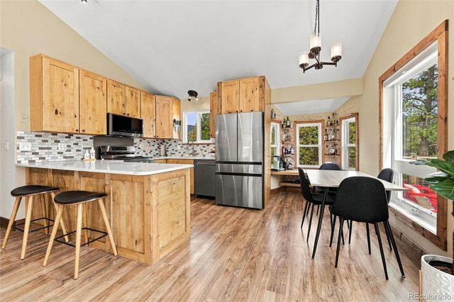 33165 Diana Road, Pine, CO 80470