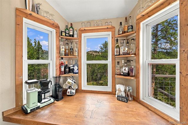 33165 Diana Road, Pine, CO 80470