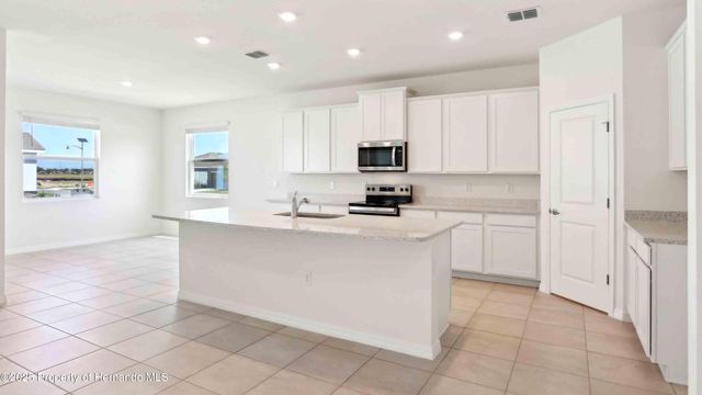 11270 Curio Drive, Brooksville, FL 34613