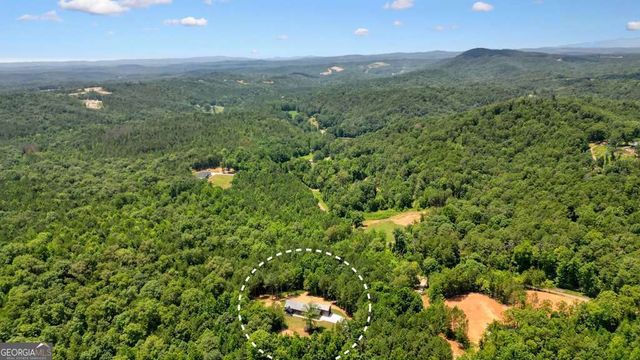 60 Dovetail Lane, Talking Rock, GA 30175