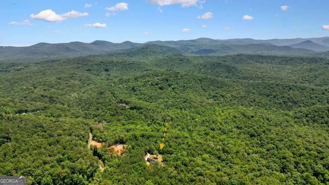 60 Dovetail Lane, Talking Rock, GA 30175