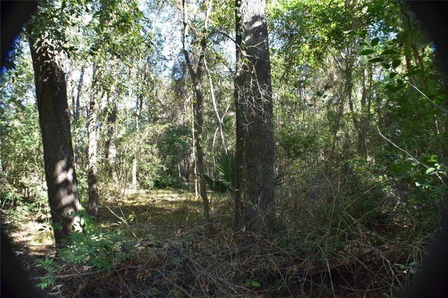 3415 Evergreen Drive, Kingwood, TX 77365