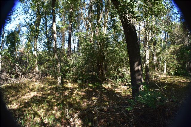 3415 Evergreen Drive, Kingwood, TX 77365