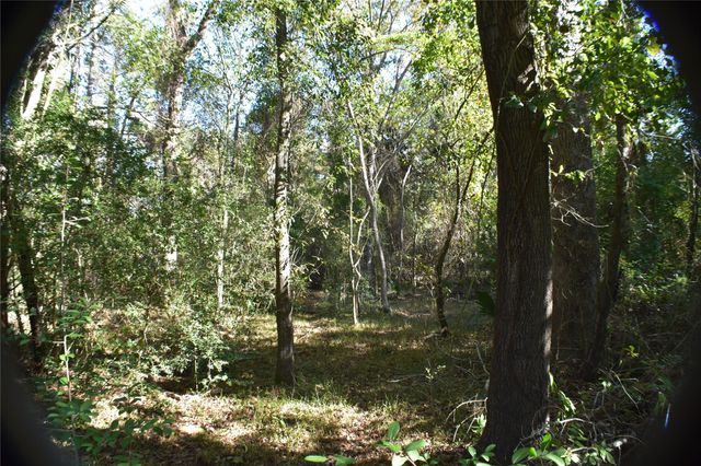 3415 Evergreen Drive, Kingwood, TX 77365