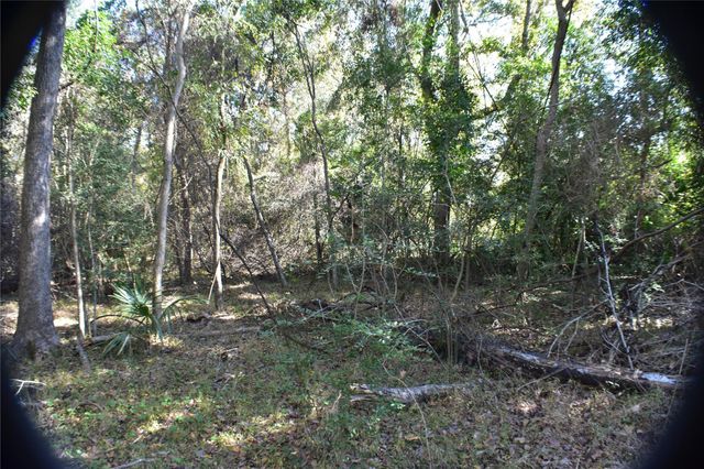 3415 Evergreen Drive, Kingwood, TX 77365